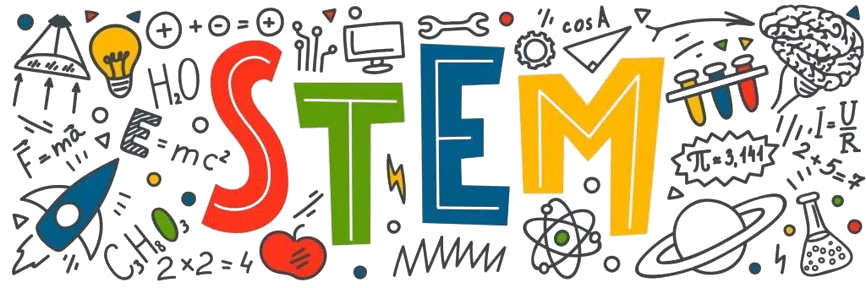 stem removebg preview